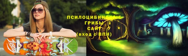 а пвп мука Богданович