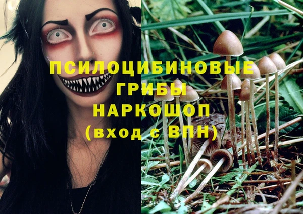 а пвп мука Богданович