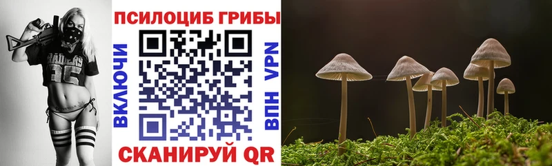 Галлюциногенные грибы мицелий  Купить закладки  Сертолово 