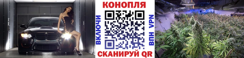 Купить где  Сертолово  Бошки марихуана тримм 